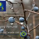 Blueberry Dog-Cat Perfume