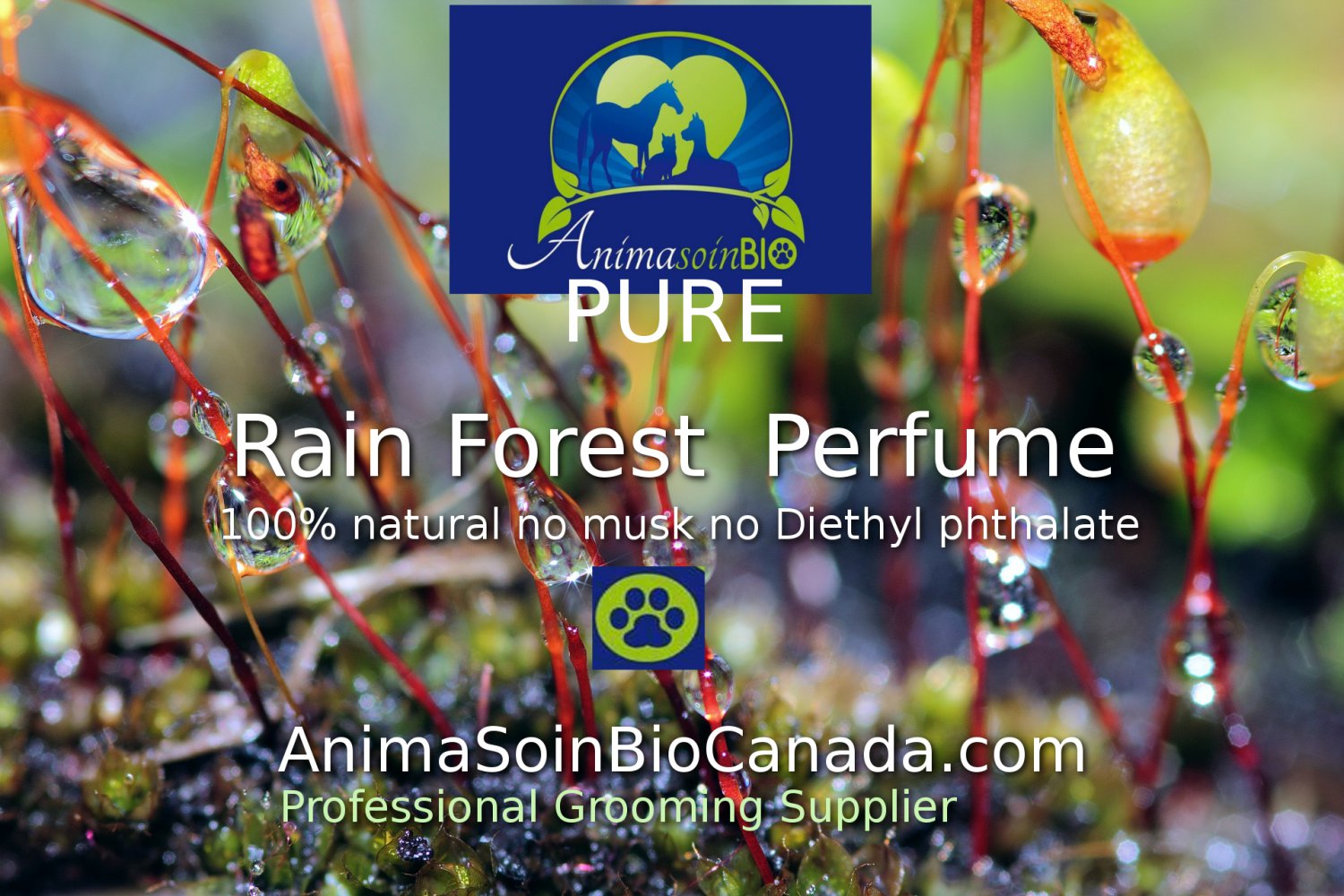Rain Forest Dog-Cat Perfume