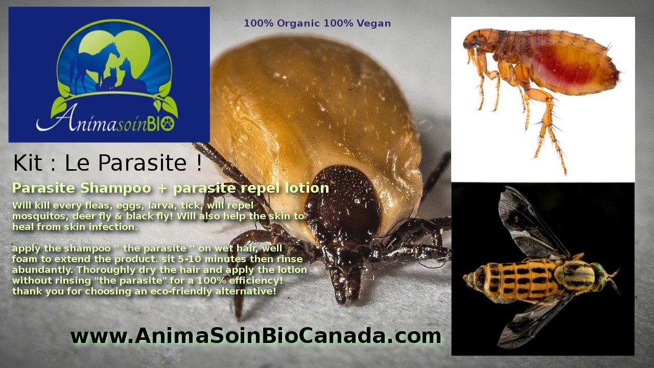 kit Fleas Shampoo + Lotion The Parasite / Kit antiPuce shampoing et