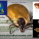 kit - Fleas Shampoo + Lotion The Parasite / Kit anti-Puce shampoing et lotion le Parasite