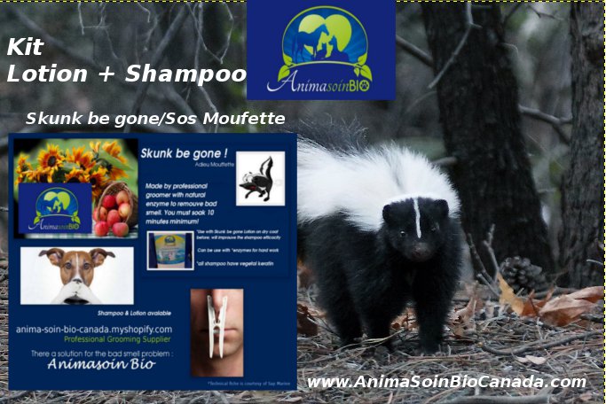 Kit-Lotion+ Shampoo Skunk be gone/ Kit lotion et shampoing sos moufette