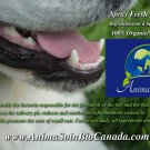 Spray fresh breath / Rafraichisseur d haleine