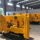 Mini Crawler Crane Spider JIB Crane hydraulic mini crane