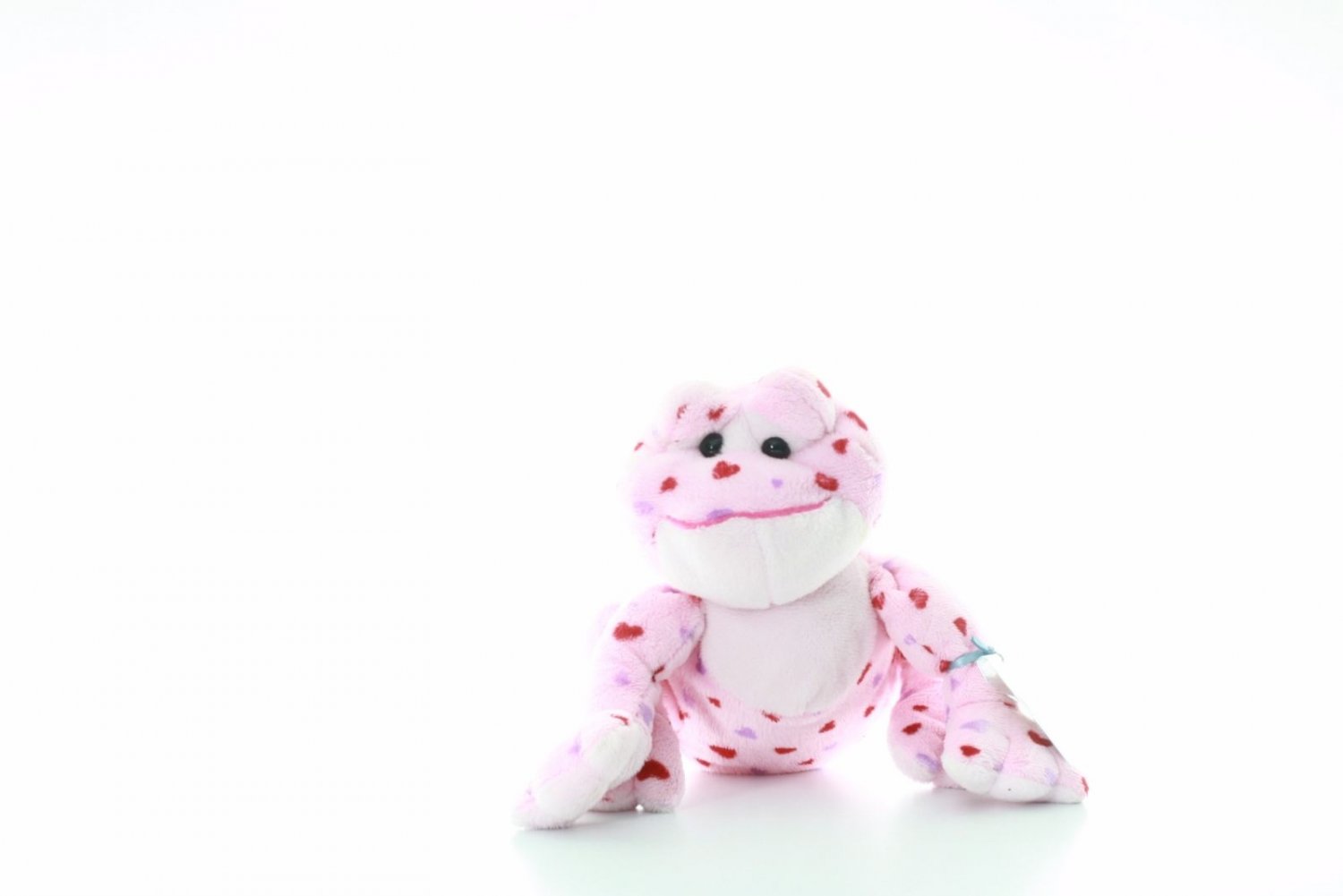 heart frog webkinz