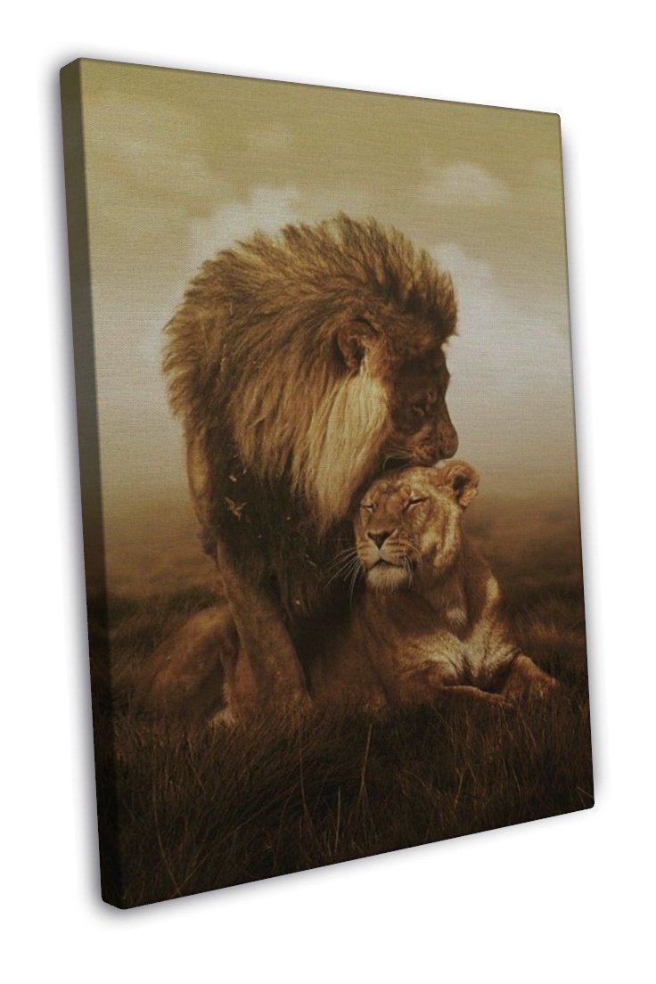 Lion And Lioness Serpia Art Image 16x12 inch Framed Canvas Print