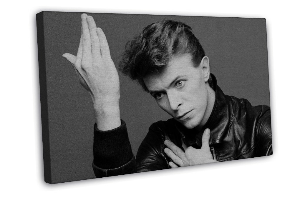 David Bowie Rock Music Star Art 20x16 inch Framed Canvas Print Decor