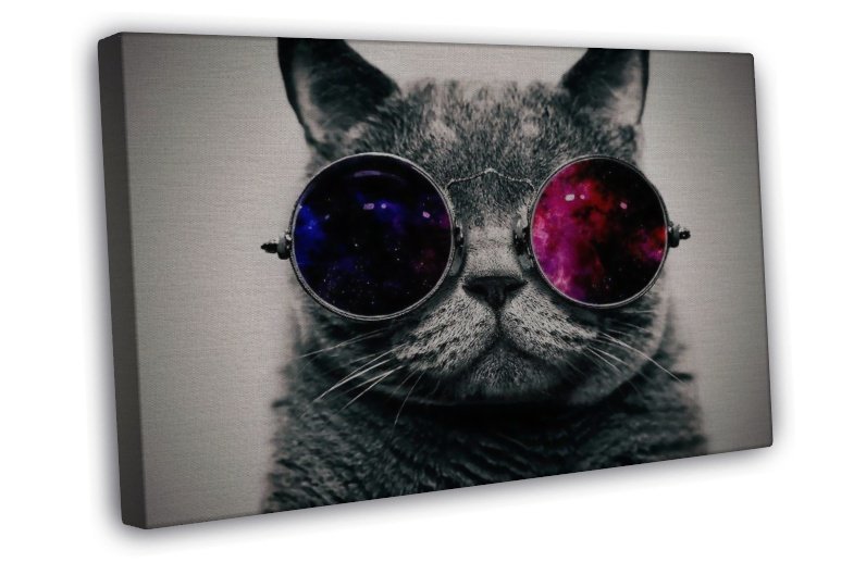 Galaxy Glasses Cat 16x12 inch Framed Canvas Print