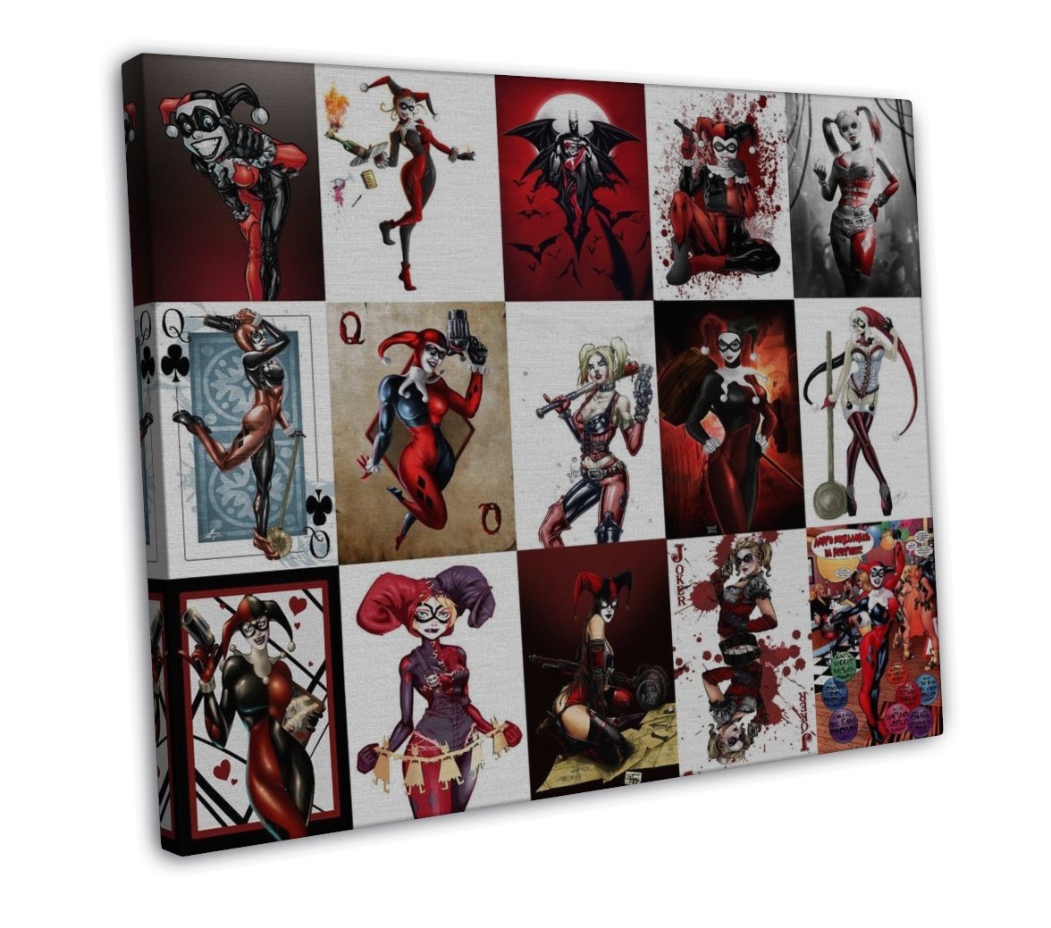 Catwoman Harley Quinn Poison Ivy Wall Decor 20x16 Framed Canvas Print