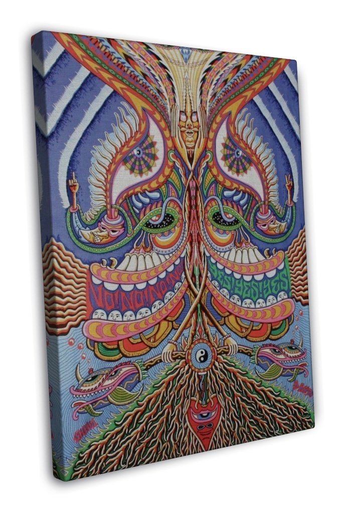 Psychedelic Trippy Art Art 20x16 Inch Framed Canvas Print Decor 6453