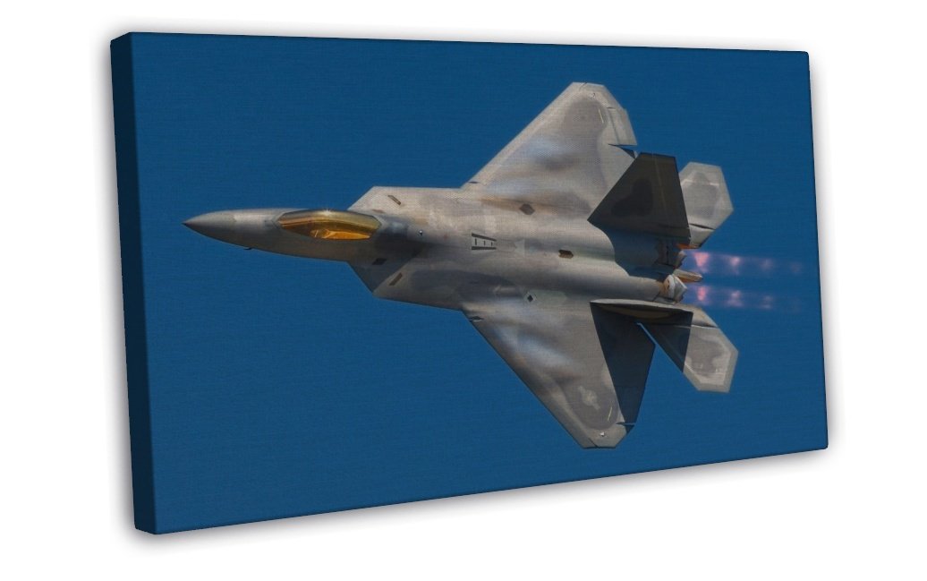 F 22 Raptor Stealth Fighter Wall Decor 20x16 inch FRAMED CANVAS Print