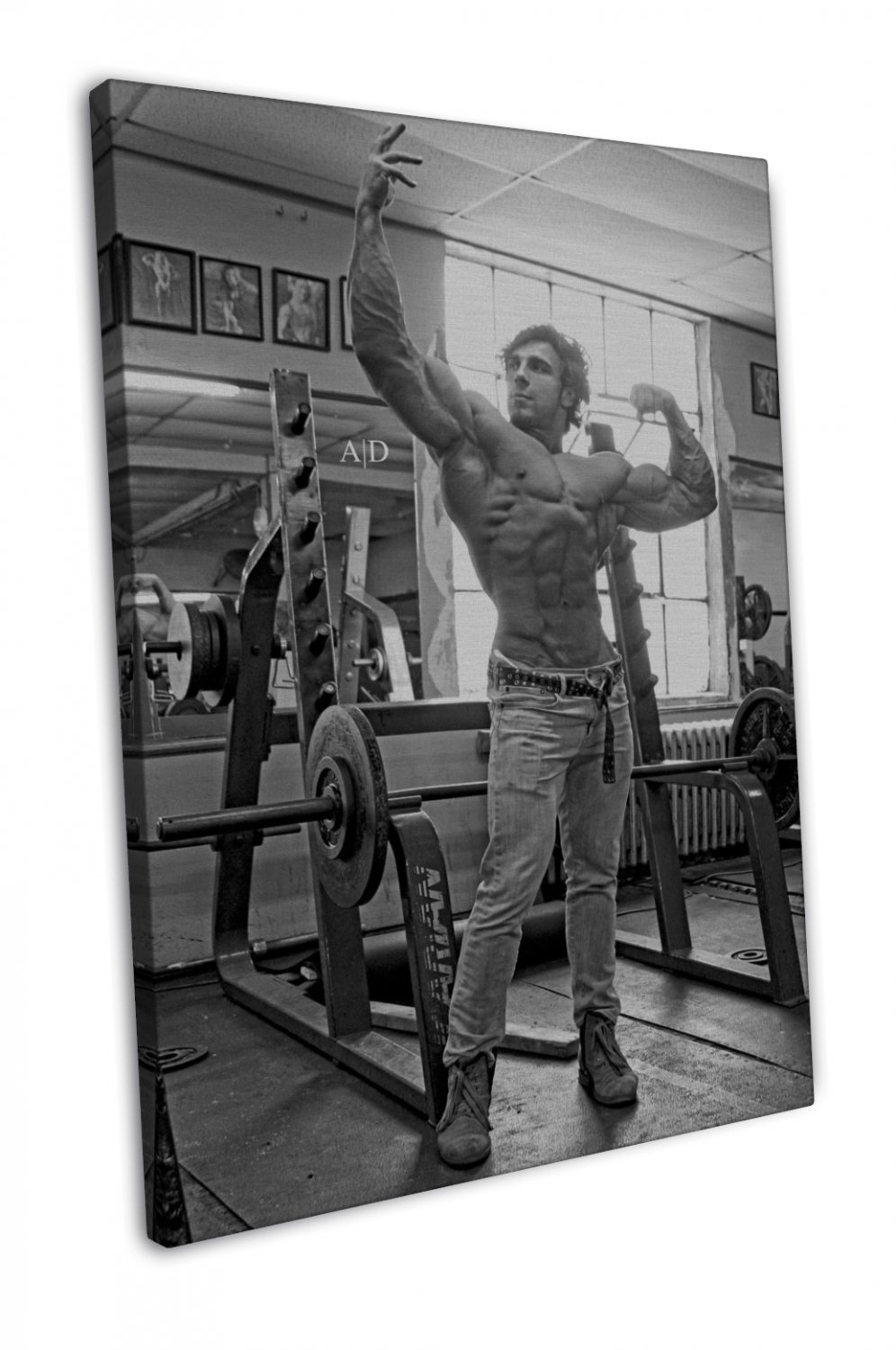 Bodybuilding Fitness Motivation Art 20x16 inch FRAMED CANVAS Print Decor