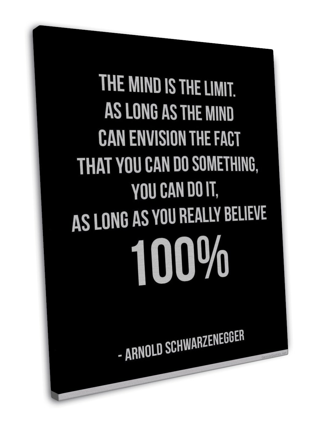 Bodybuilding Fitness Motivation 20x16 inch FRAMED CANVAS Print Decor