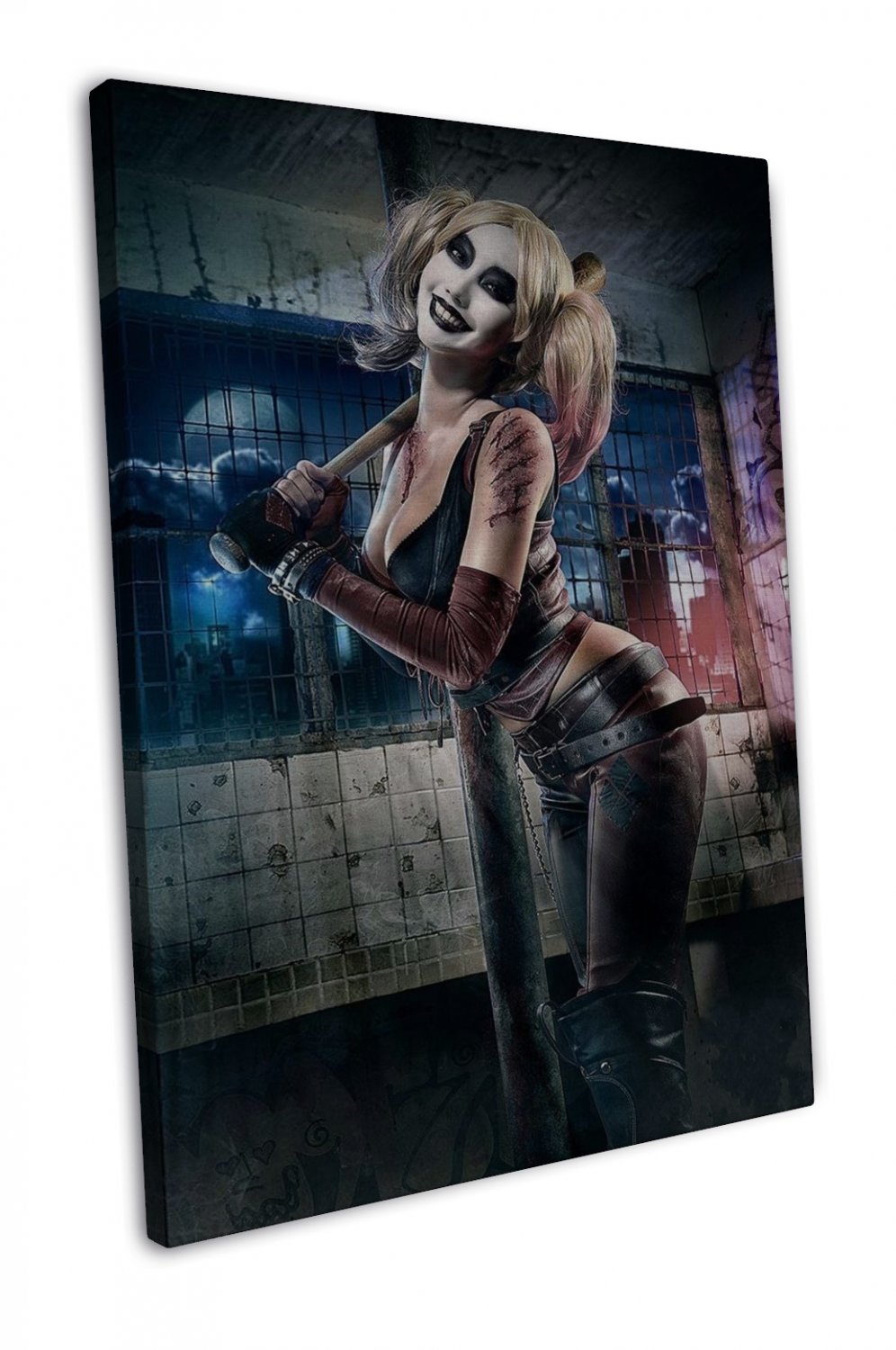 Harley Quinn Batman Arkham City Wall Decor 20x16 inch FRAMED CANVAS Print
