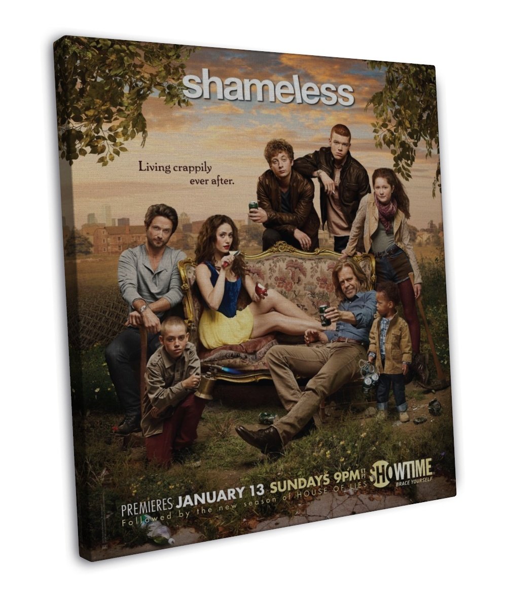 Shameless Season 1 2 3 TV Show Wall Decor 20x16 inch FRAMED CANVAS Print