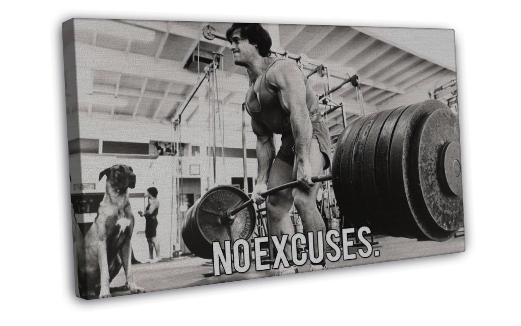 Bodybuilding Fitness Motivation Motivational Wall Decor 20x16 Inch Framed Canvas Prin