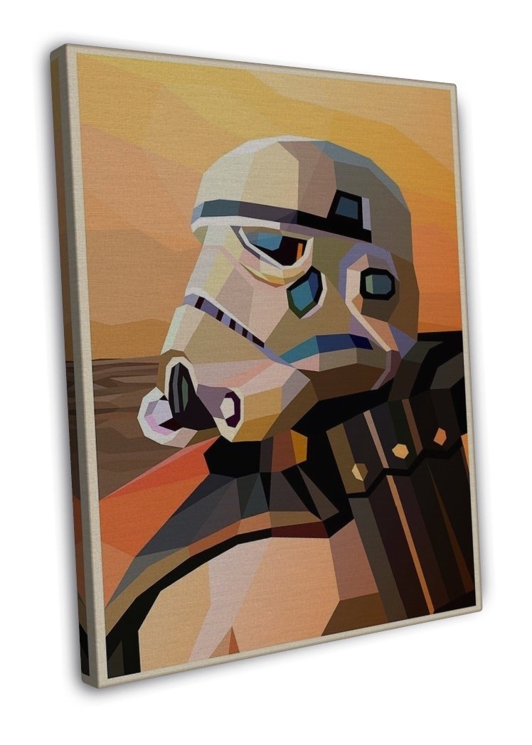 storm trooper canvas