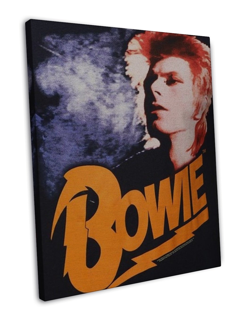 David Bowie Rock Music Star Art 16x12 inch Framed Canvas Print Decor