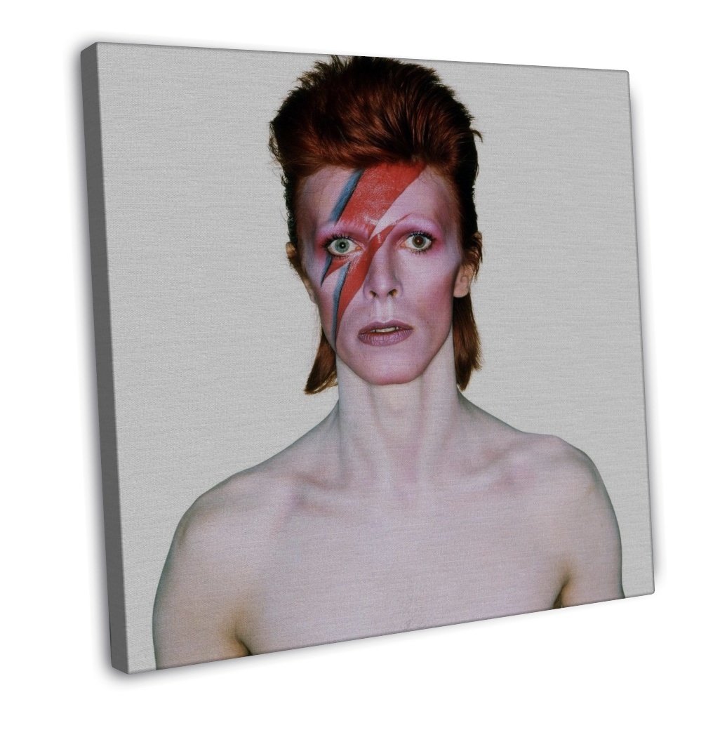 David Bowie Rock Music Star Art 16x12 inch Framed Canvas Print Decor