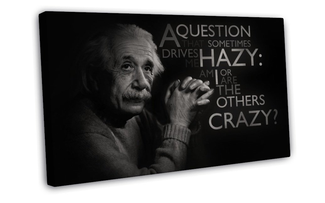 Albert Einstein Physicist Art 16x12 inch FRAMED CANVAS Print Decor