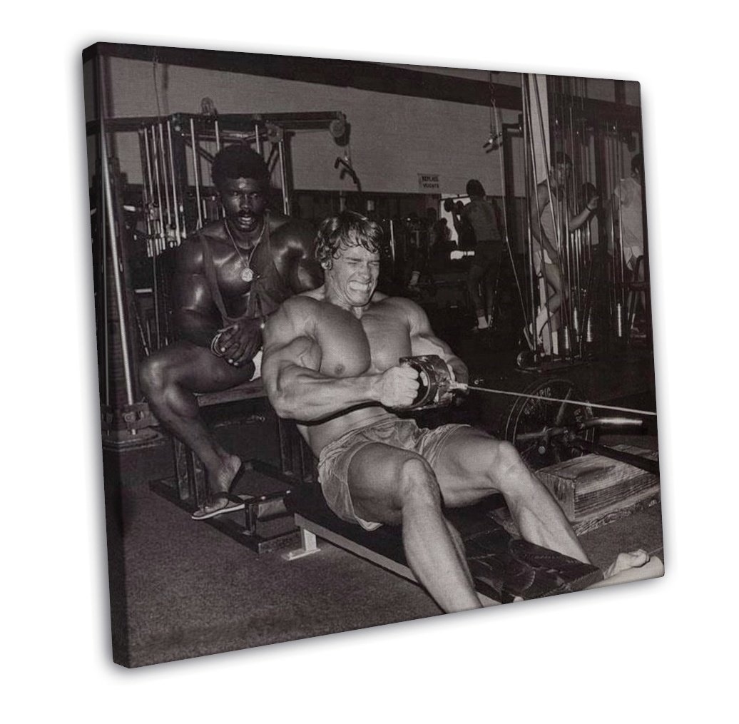 Arnold Schwarzenegger Bodybuilder Mr Olym Art 16x12 inch FRAMED CANVAS Print Decor