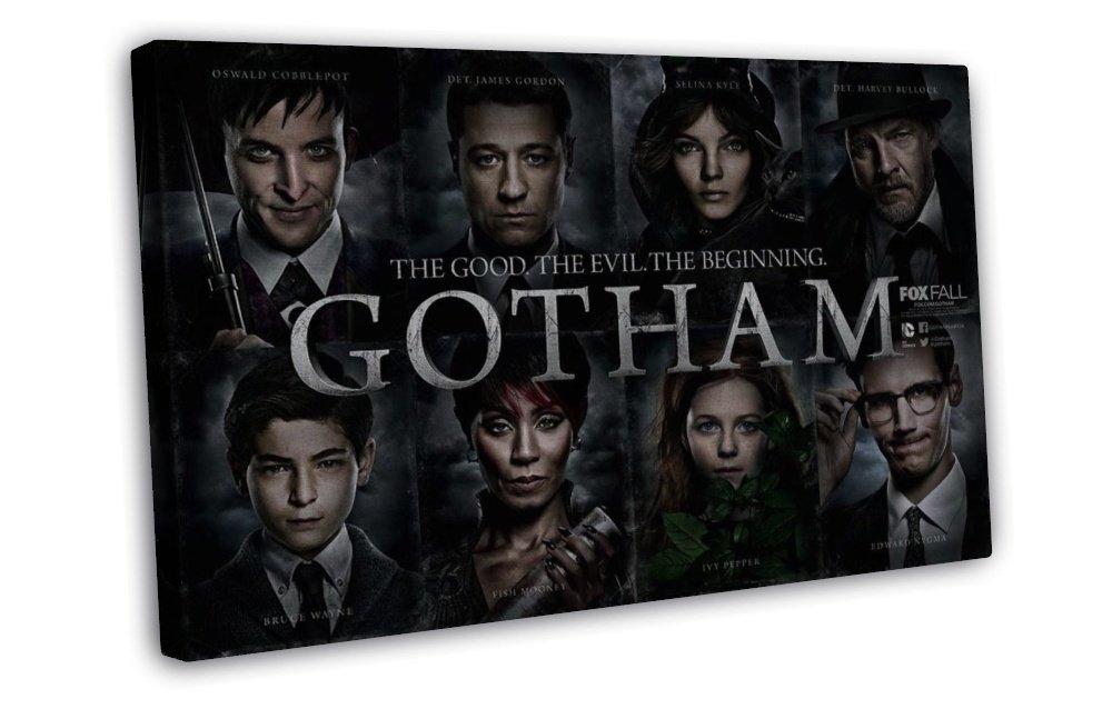 Gotham City Tv Show Art 16x12 inch Framed Canvas Print Decor