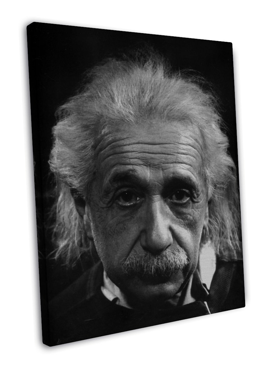 Albert Einstein Physicist Art 16x12 inch FRAMED CANVAS Print Decor