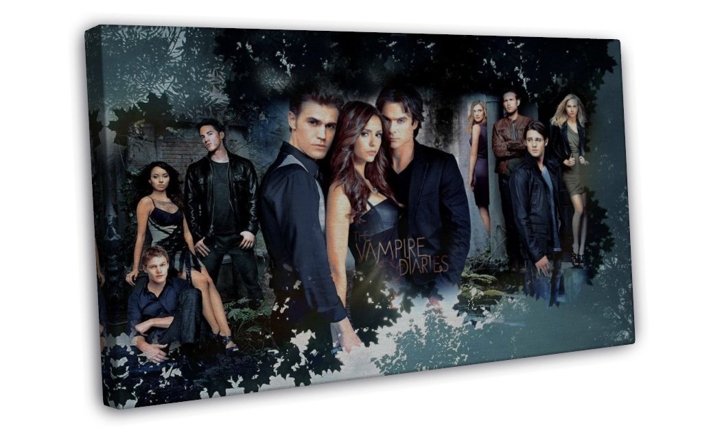 The Vampire Diaries Tv Show Art 16x12 inch Framed Canvas Print Decor