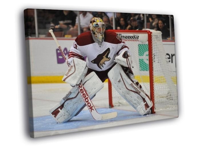 Mike Smith Phoenix Coyotes Goaltender Hockey  20x16 inch FRAMED CANVAS WALL PRINT