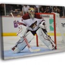 Mike Smith Phoenix Coyotes Goaltender Hockey  20x16 inch FRAMED CANVAS WALL PRINT