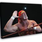 Hulk Hogan Wrestling Champion Terry Gene Bollea WALL  20x16 inch FRAMED CANVAS PRINT