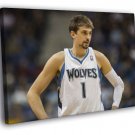 Alexey Shved Minnesota Timberwolves Sport  20x16 inch FRAMED CANVAS WALL PRINT