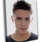 Jesse McCartney Light Awesome Portrait Handsome 20x16 inch FRAMED CANVAS WALL PRINT