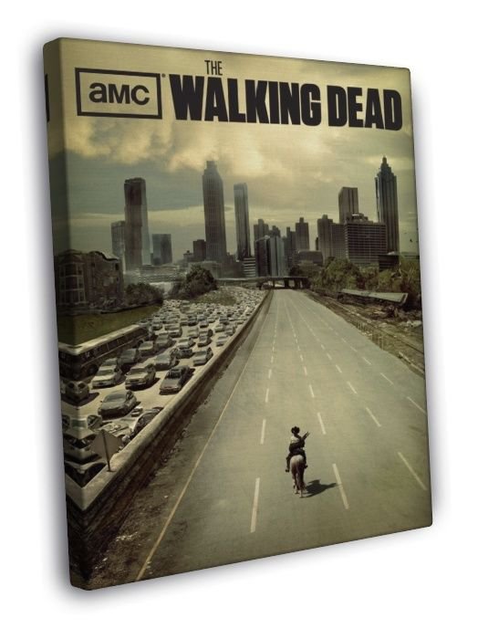 The Walking Dead TV Series  20x16 inch FRAMED CANVAS WALL PRINT