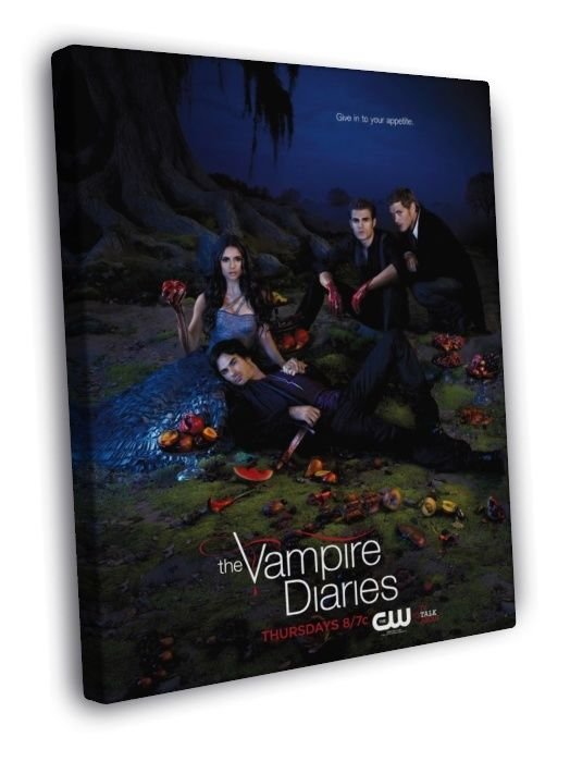 The Vampire Diaries TV Series Show WALL  20x16 inch FRAMED CANVAS PRINT