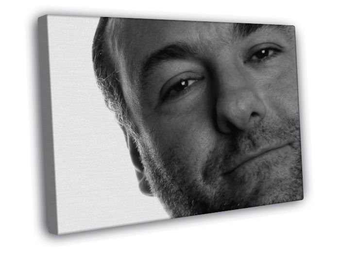 James Gandolfini BW Portrait Actor WALL  20x16 inch FRAMED CANVAS PRINT