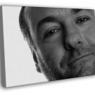 James Gandolfini BW Portrait Actor WALL  20x16 inch FRAMED CANVAS PRINT