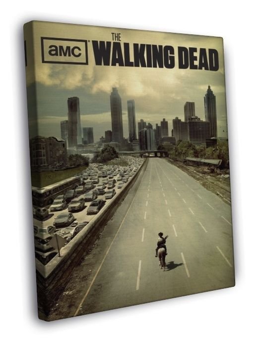 The Walking Dead TV Series  20x16 inch FRAMED CANVAS WALL PRINT