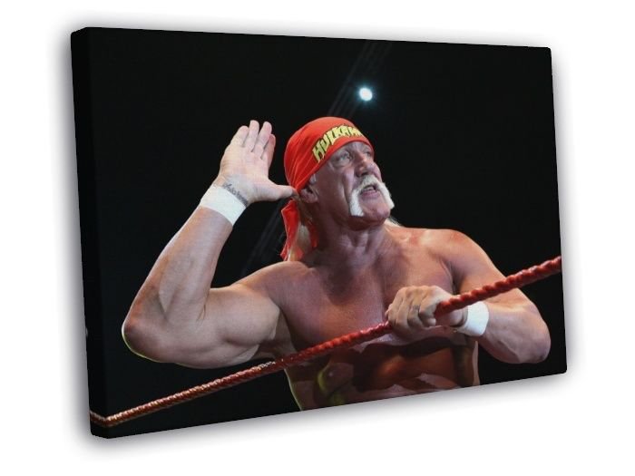 Hulk Hogan Wrestling Champion Terry Gene Bollea WALL  20x16 inch FRAMED CANVAS PRINT