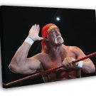 Hulk Hogan Wrestling Champion Terry Gene Bollea WALL  20x16 inch FRAMED CANVAS PRINT