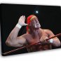 Hulk Hogan Wrestling Champion Terry Gene Bollea WALL  20x16 inch FRAMED CANVAS PRINT