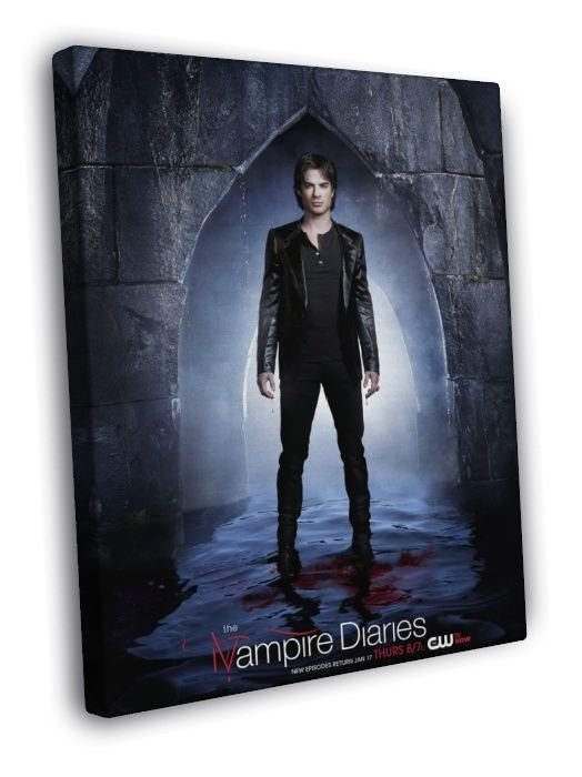 The Vampire Diaries Ian Somerhalder TV Series  20x16 inch FRAMED CANVAS WALL PRINT