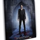 The Vampire Diaries Ian Somerhalder TV Series  20x16 inch FRAMED CANVAS WALL PRINT