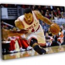 Derrick Rose Chicago Bulls Dribbling Sport  20x16 inch FRAMED CANVAS WALL PRINT