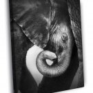 Baby Elephant Animal Nature BW  20x16 inch FRAMED CANVAS WALL PRINT