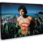Smallville Tom Welling Clark Kent Movie  20x16 inch FRAMED CANVAS WALL PRINT