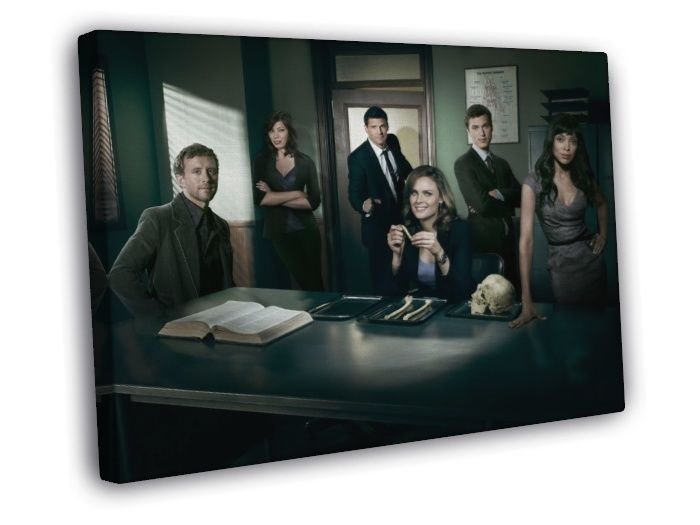 Bones Cast Characters TV Series WALL  20x16 inch FRAMED CANVAS PRINT