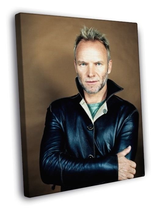 Sting Awesome Music Singer Vintage WALL  20x16 inch FRAMED CANVAS PRINT