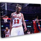 Joakim Noah Chicago Bulls Basketball WALL  20x16 inch FRAMED CANVAS PRINT