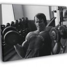 Arnold Schwarzenegger Dumbbells Bodybuilding  20x16 inch FRAMED CANVAS WALL PRINT