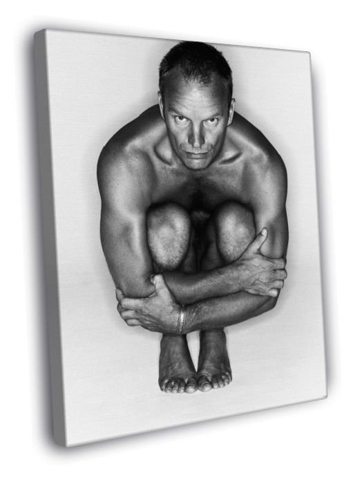 Sting Awesome Singer Retro Vintage BW WALL  20x16 inch FRAMED CANVAS PRINT